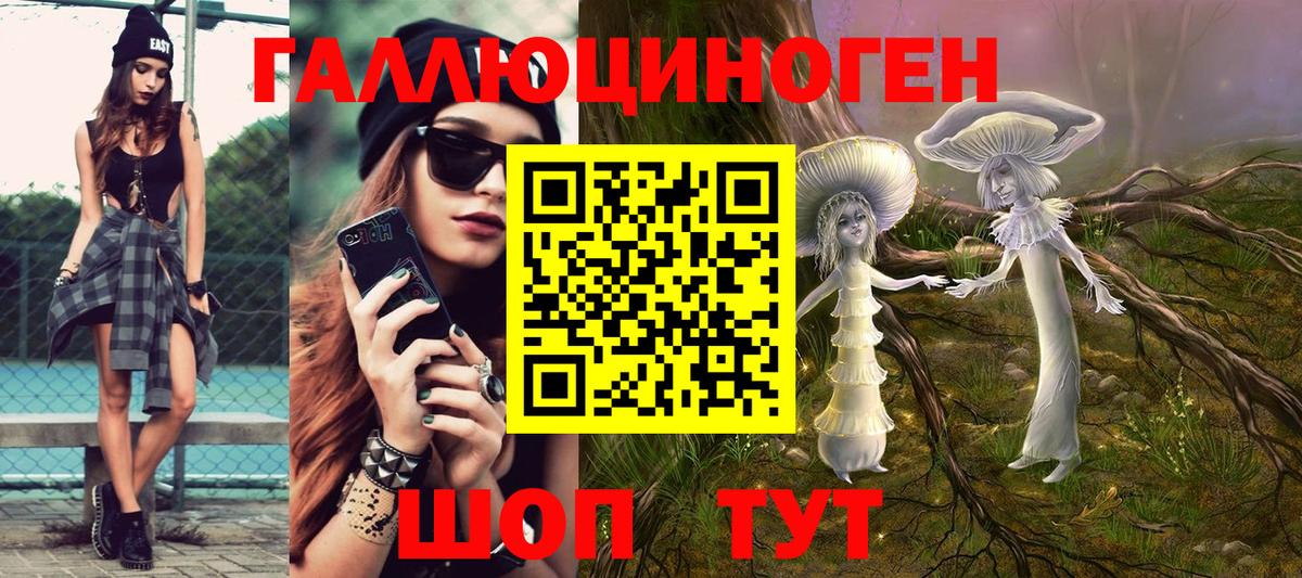 Псилоцибиновые грибы GOLDEN TEACHER Чернушка