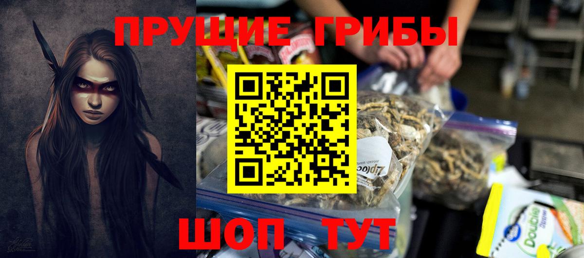 Галлюциногенные грибы MAGIC MUSHROOMS  Вход с VPN  Чернушка  Псилоцибиновые грибы Psilocybine cubensis 